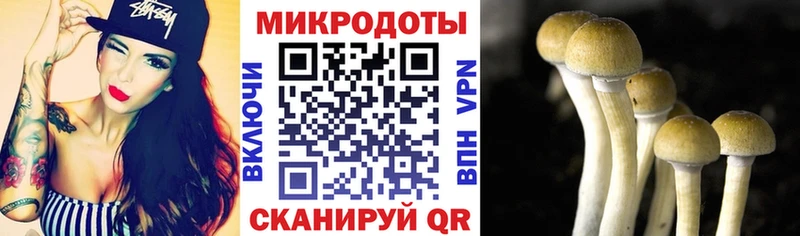 Псилоцибиновые грибы GOLDEN TEACHER Славянск-на-Кубани
