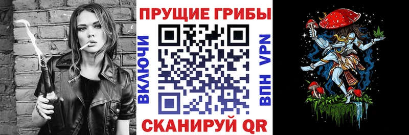 кракен   Славянск-на-Кубани  это телеграм  дарнет шоп  Псилоцибиновые грибы мухоморы 