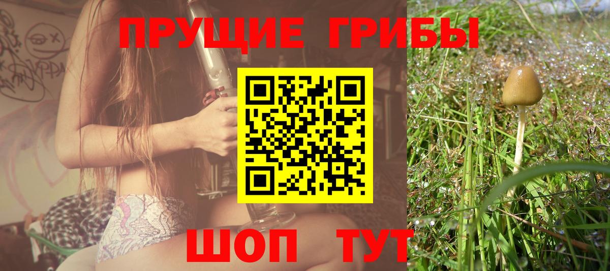 Славянск-на-Кубани  Псилоцибиновые грибы Psilocybe  Вход с VPN 
